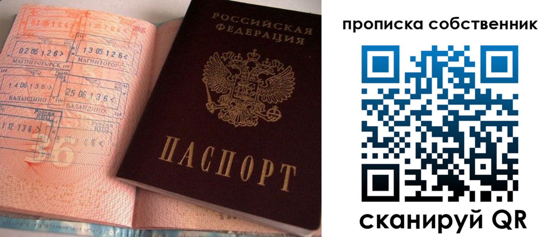 прописка в Сольцах